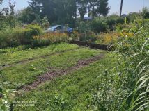 Działka rod Giżycko. Zdjęcie 2