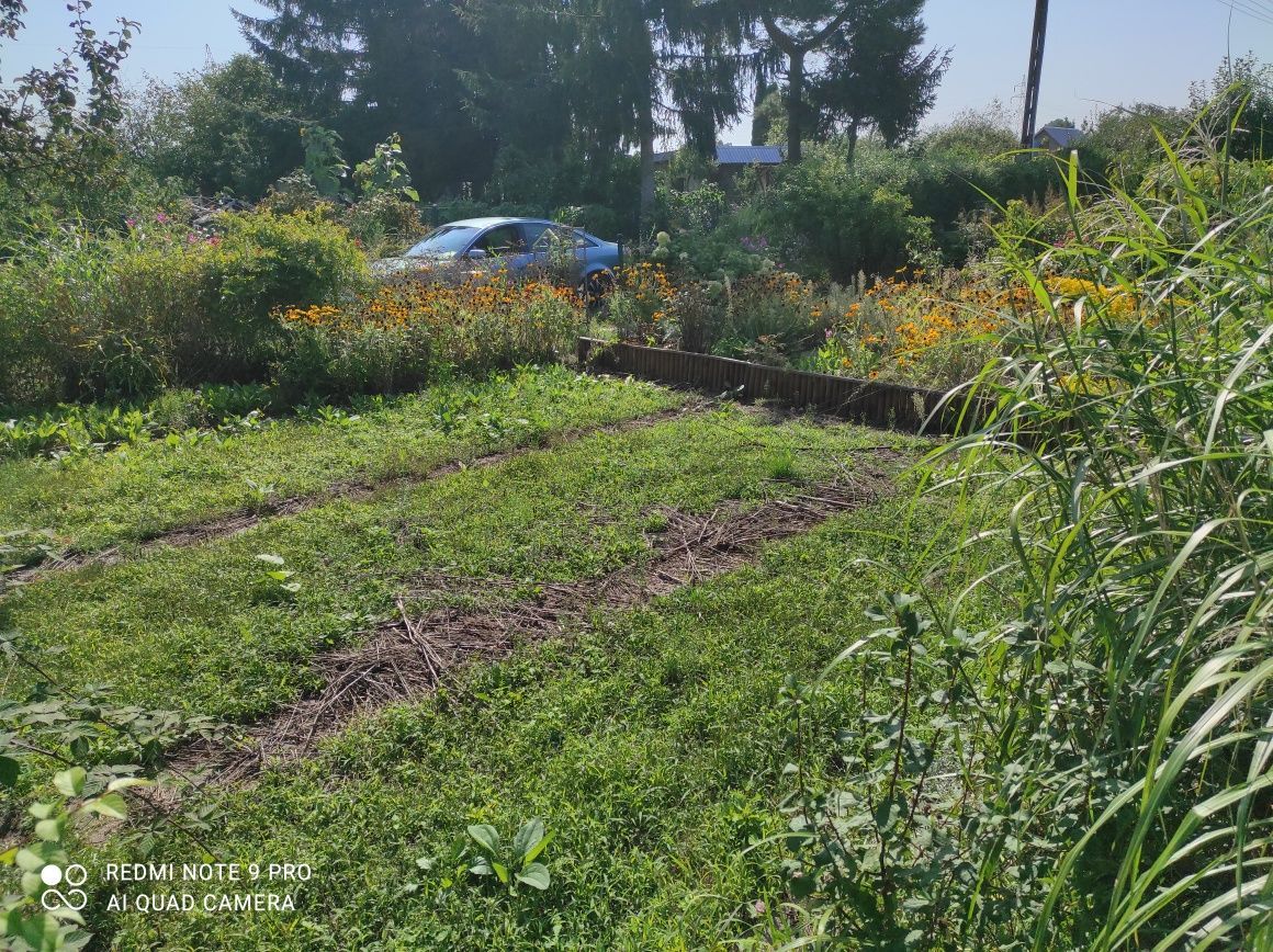 Działka rod Giżycko. Zdjęcie 3