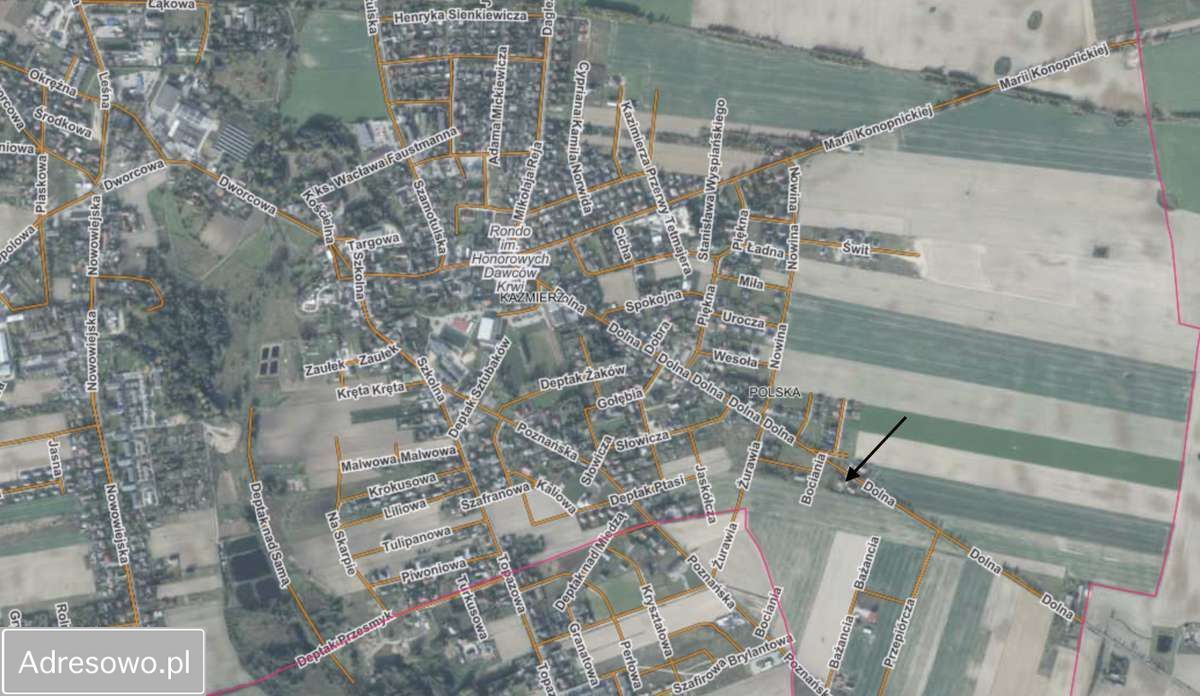 dom wolnostojący, 5 pokoi Kaźmierz, ul. Dolna. Zdjęcie 6