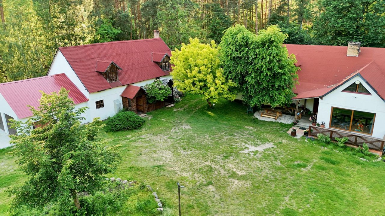 siedlisko Lipowo Kurkowskie. Zdjęcie 4