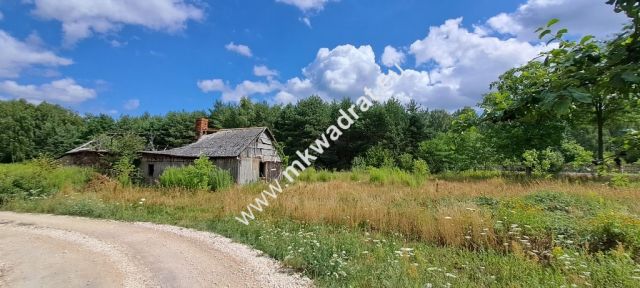 Działka siedliskowa Zimna Woda. Zdjęcie 7