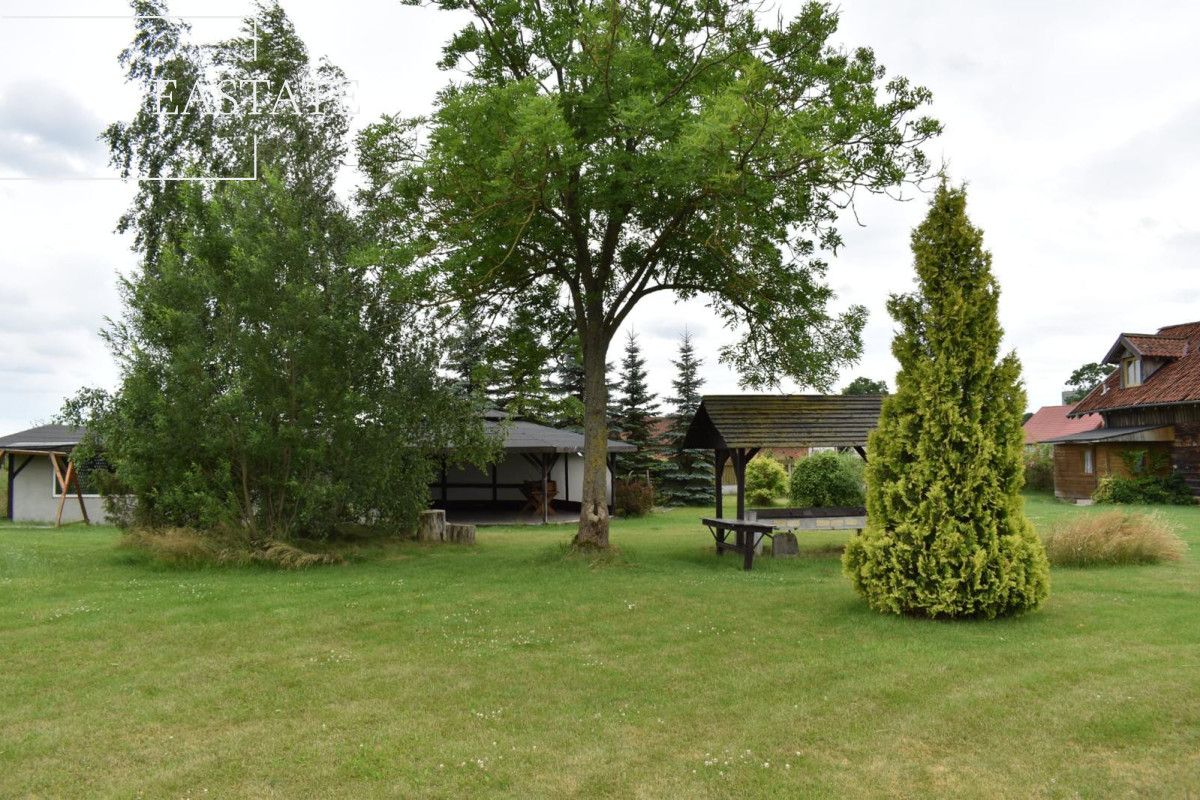 Lokal Dąbrowa. Zdjęcie 10