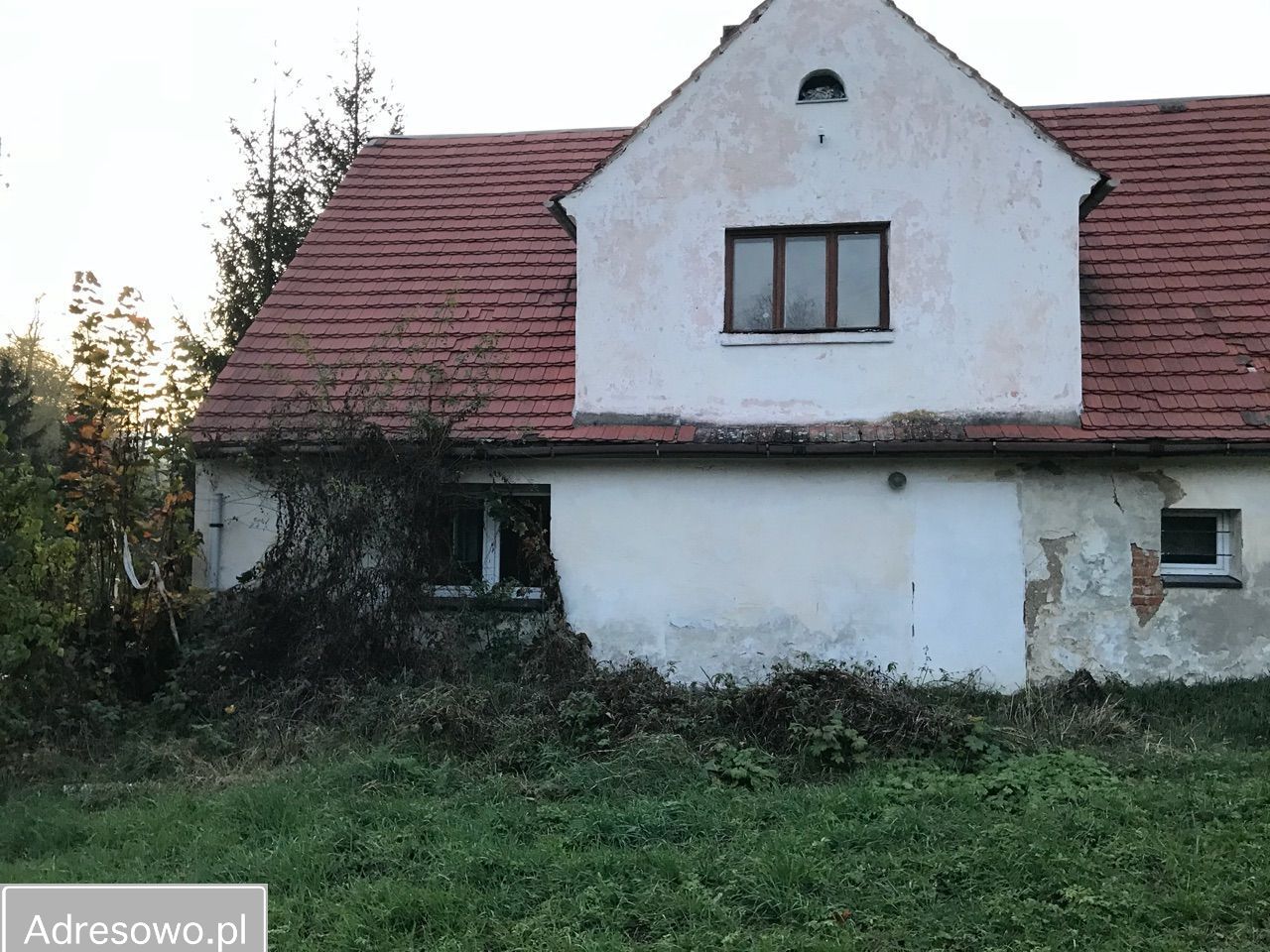 dom, 5 pokoi Stary Waliszów
