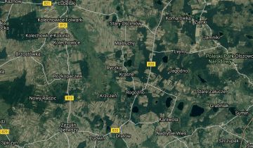 Działka leśna Krasne