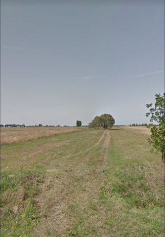 Działka rolno-budowlana Wydrzyn. Zdjęcie 1