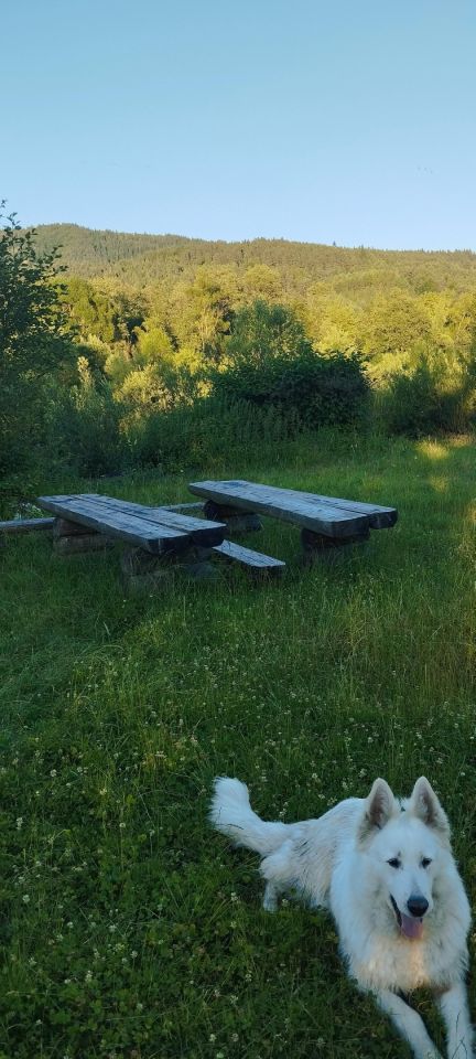 Działka rekreacyjna Jeleśnia Pyrgiesi, ul. Pyrgiesów. Zdjęcie 14