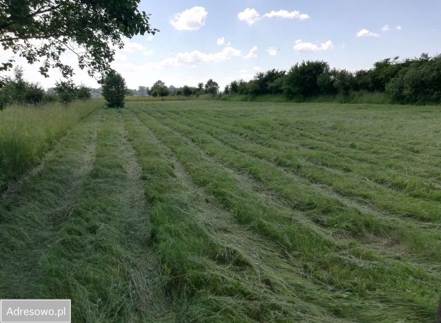 Działka rolna Jawidz. Zdjęcie 1