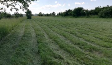 Działka rolna Jawidz