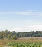 Działka budowlana Nowojewo