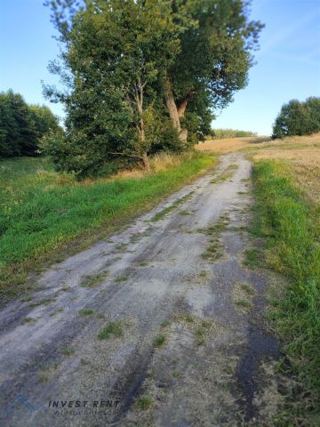 Działka rolna Kołobrzeg. Zdjęcie 4