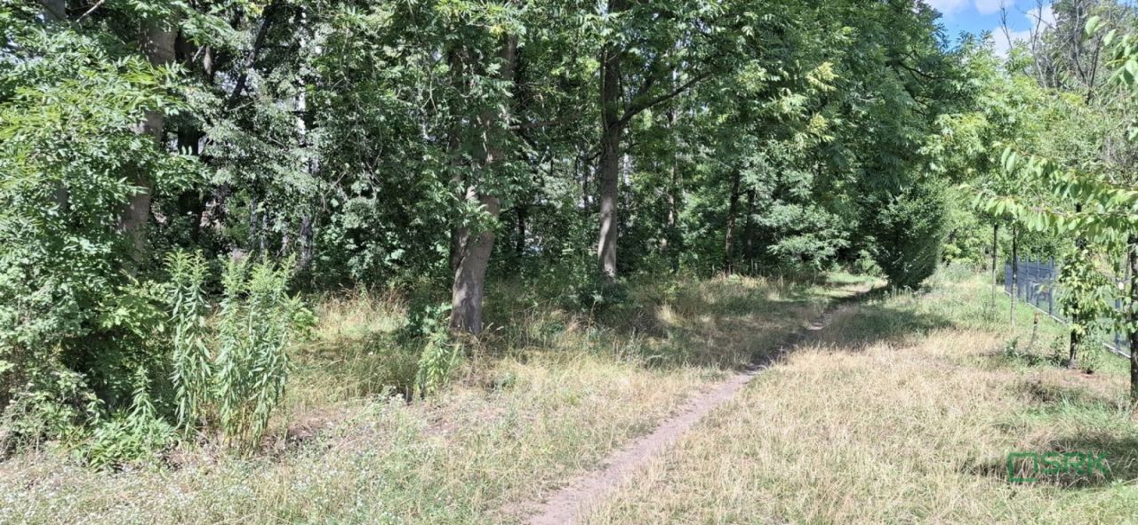 Działka Sosnowiec, ul. gen. Leopolda Okulickiego. Zdjęcie 11