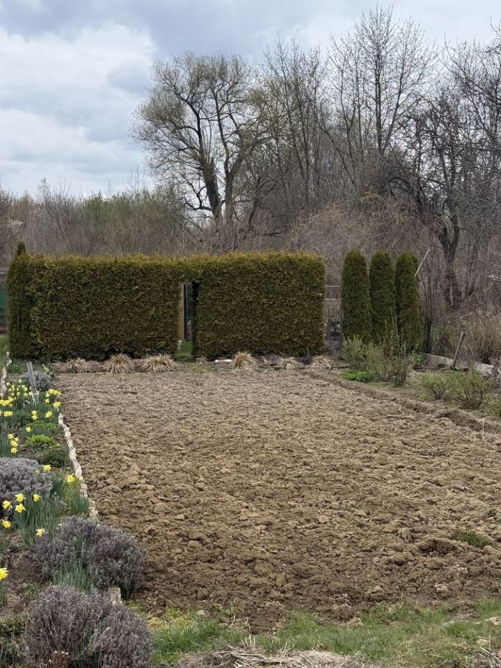 Działka rod Przysucha. Zdjęcie 5