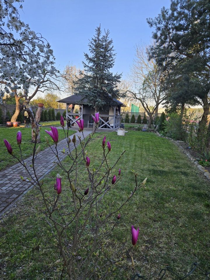 Mieszkanie 3-pokojowe Słońsk. Zdjęcie 3