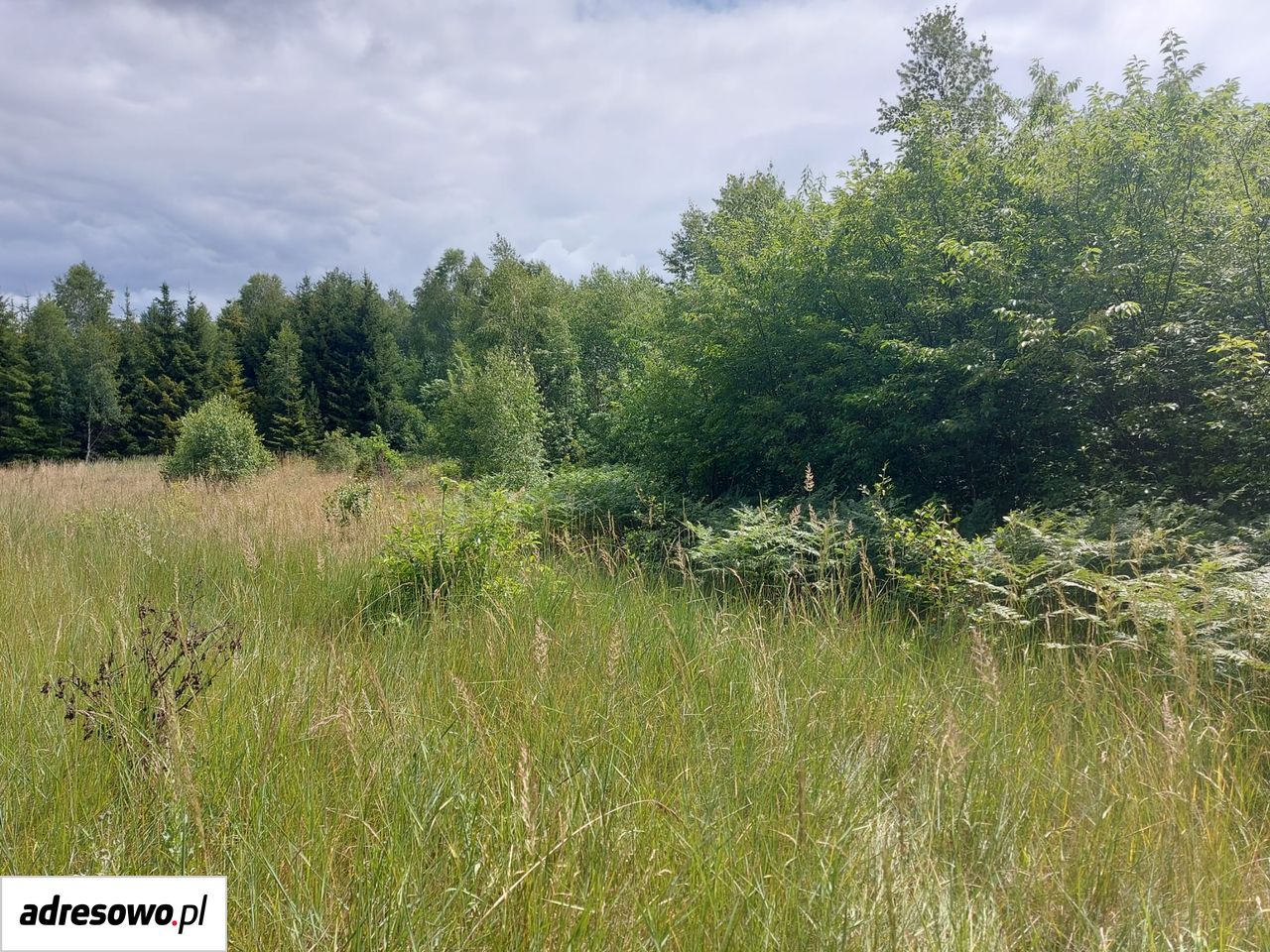 Działka inna Wiluki. Zdjęcie 11