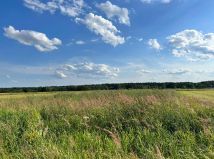 Działka rolna Bosowice. Zdjęcie 4