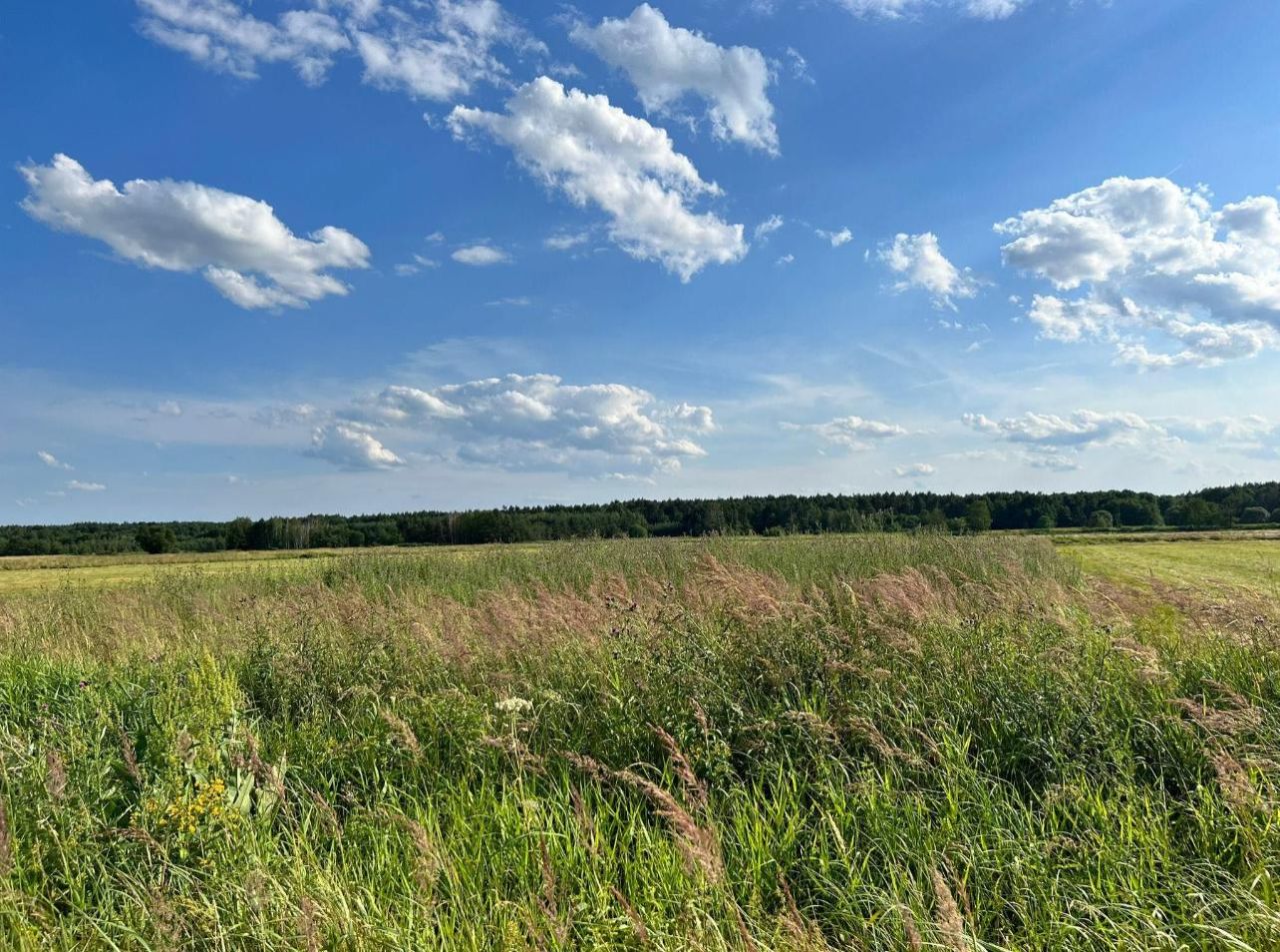 Działka rolna Bosowice. Zdjęcie 5