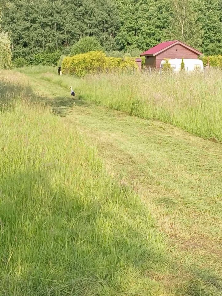 siedlisko Łącko. Zdjęcie 7