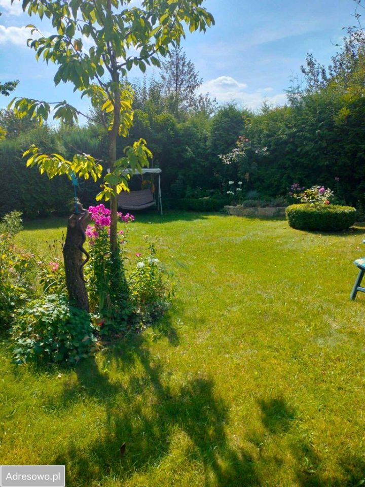 Działka rod Sosnowiec Pogoń, ul. Lwowska