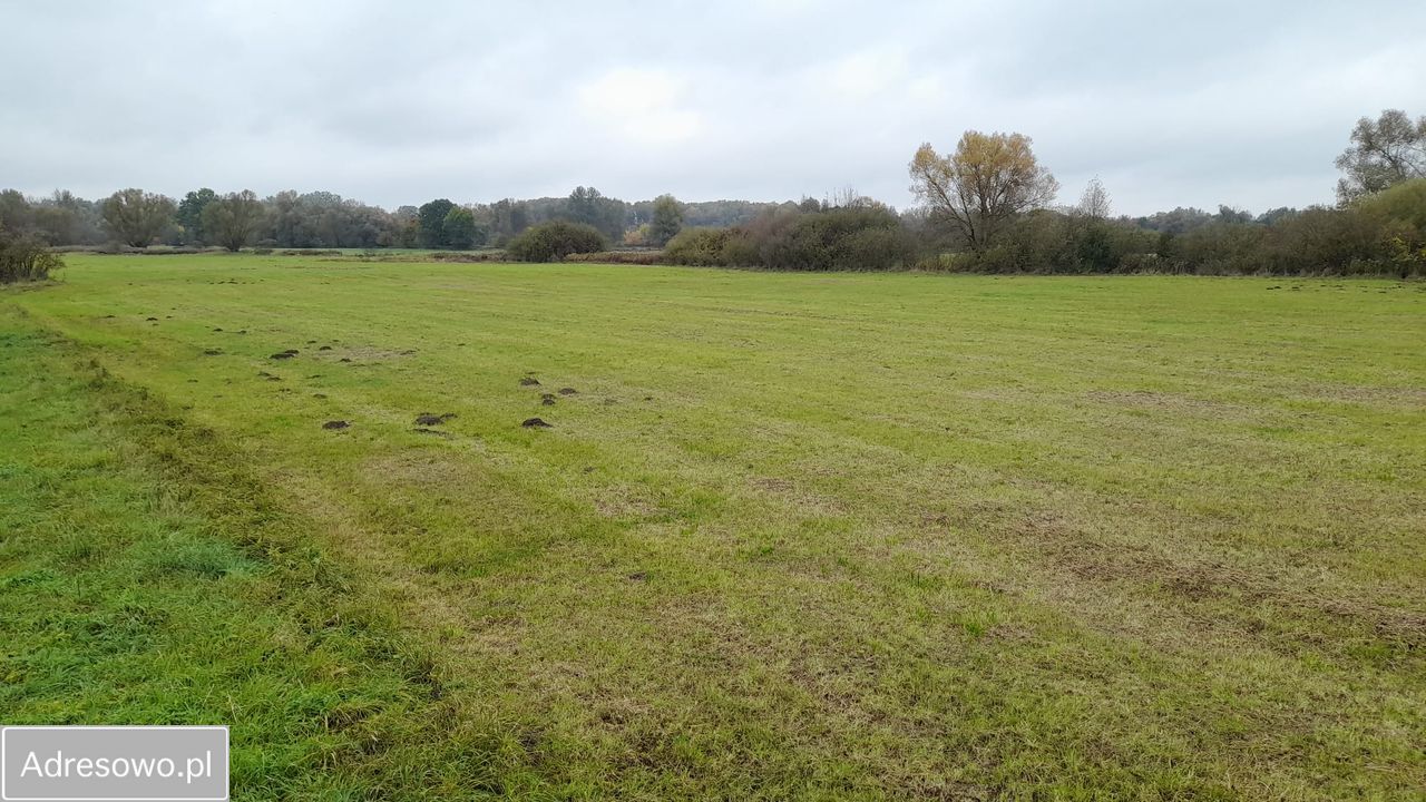Działka rolna Nowy Secymin. Zdjęcie 11