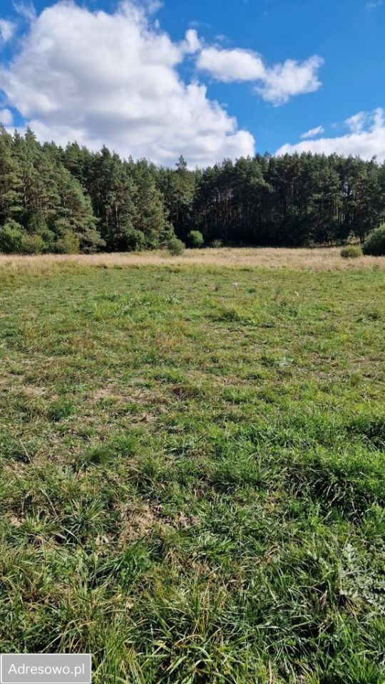 Działka budowlana Prokowo, ul. Kościelna. Zdjęcie 4