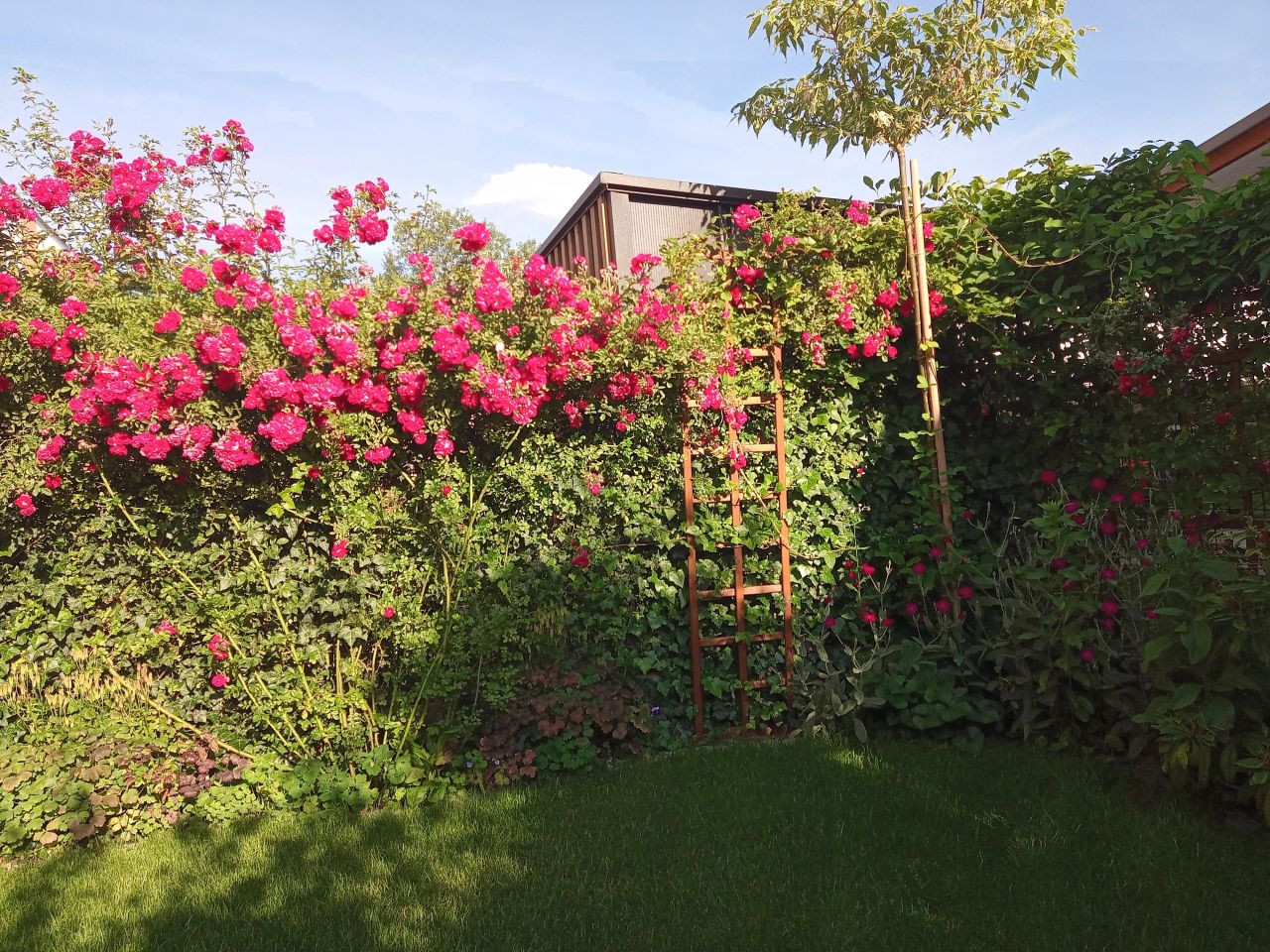 dom szeregowy, 4 pokoje Nowy Dwór Mazowiecki Osiedle Młodych, ul. Szmaragdowa. Zdjęcie 4