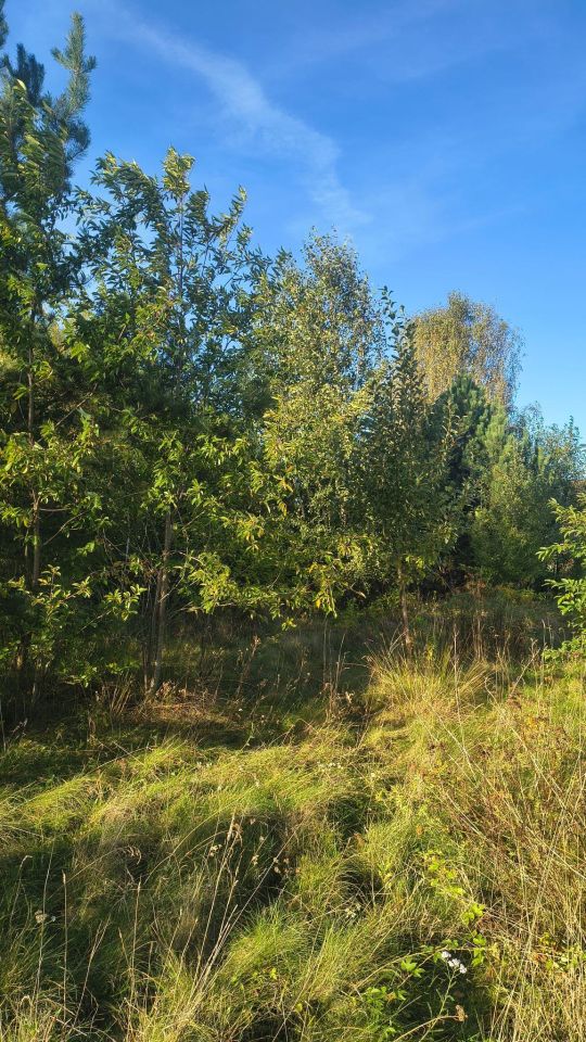 Działka budowlana Wronowice, ul. Skrzydlata. Zdjęcie 6