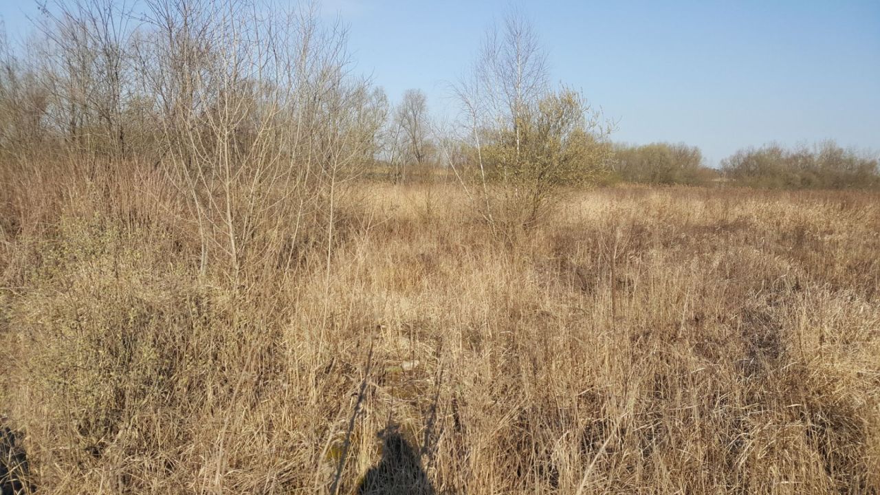 Działka inna Kaniów. Zdjęcie 2