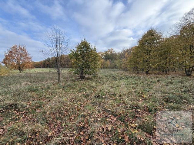 Działka budowlana Nowe Warpno, ul. Wojska Polskiego. Zdjęcie 1