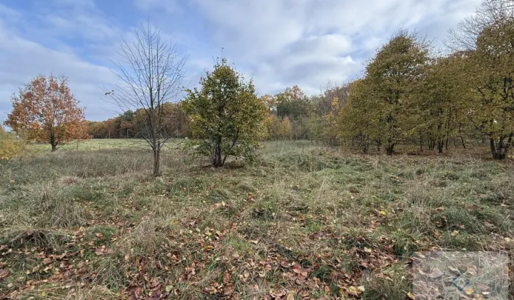 Działka budowlana Nowe Warpno, ul. Wojska Polskiego