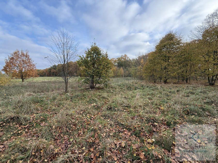 Działka budowlana Nowe Warpno, ul. Wojska Polskiego
