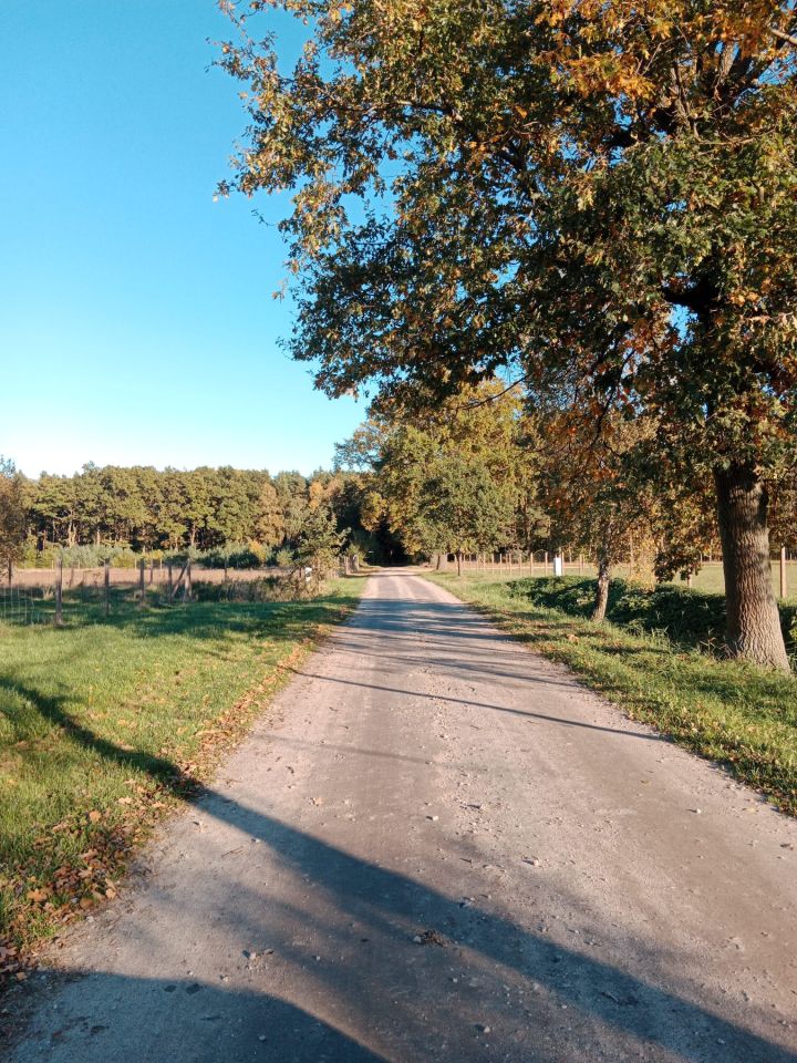 Działka budowlana Bogusławki. Zdjęcie 2