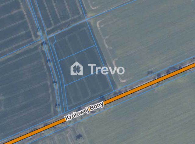 Działka rolna Wocławy, ul. Królowej Bony. Zdjęcie 4