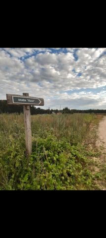 Działka rolno-budowlana Strzegocin. Zdjęcie 1