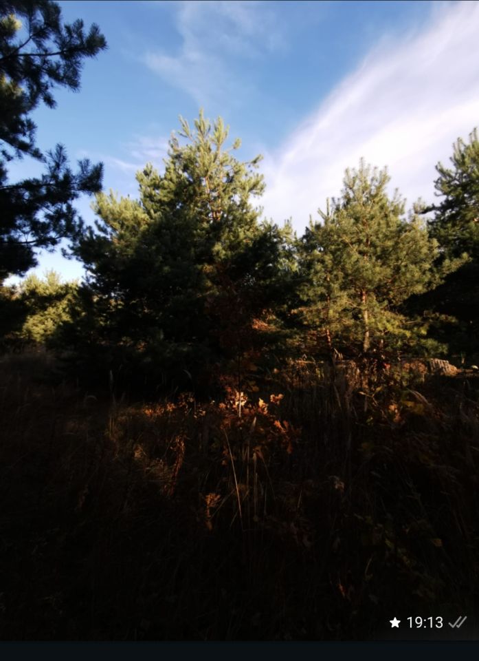 Działka budowlana Masłów, ul. Sosnowa. Zdjęcie 7