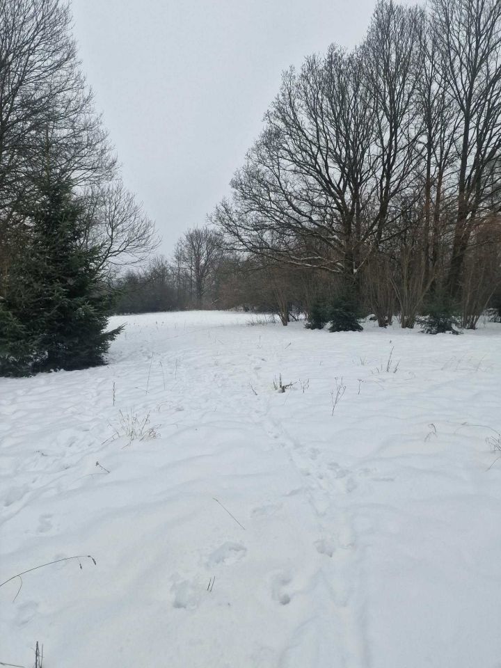 Działka budowlana Parszów. Zdjęcie 4