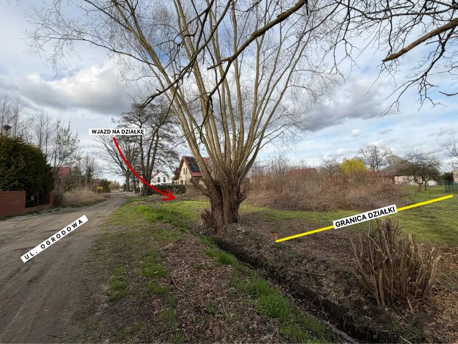 Działka budowlana Pęgów, ul. Ogrodowa. Zdjęcie 2