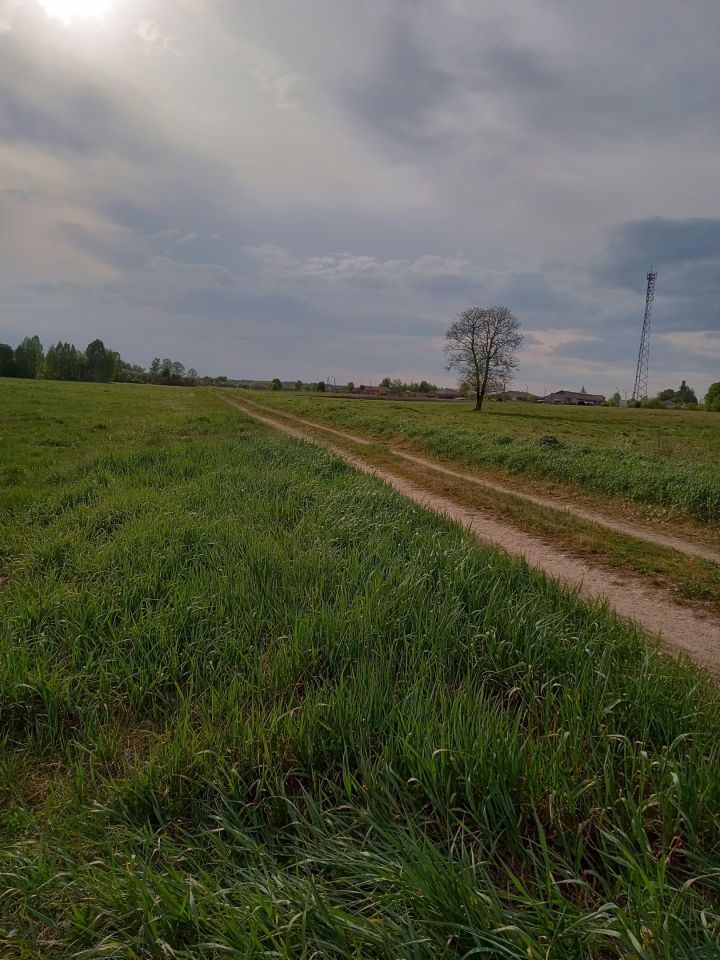 Działka budowlana Ploski. Zdjęcie 16