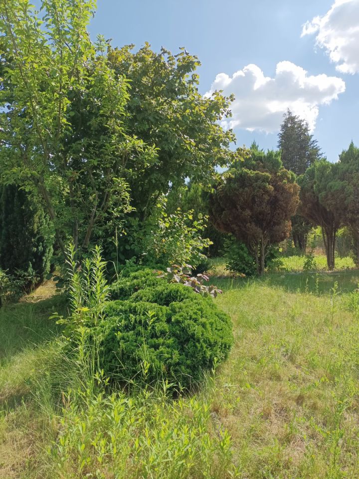 Działka rod Wrocław Klecina, al. Karkonoska. Zdjęcie 5