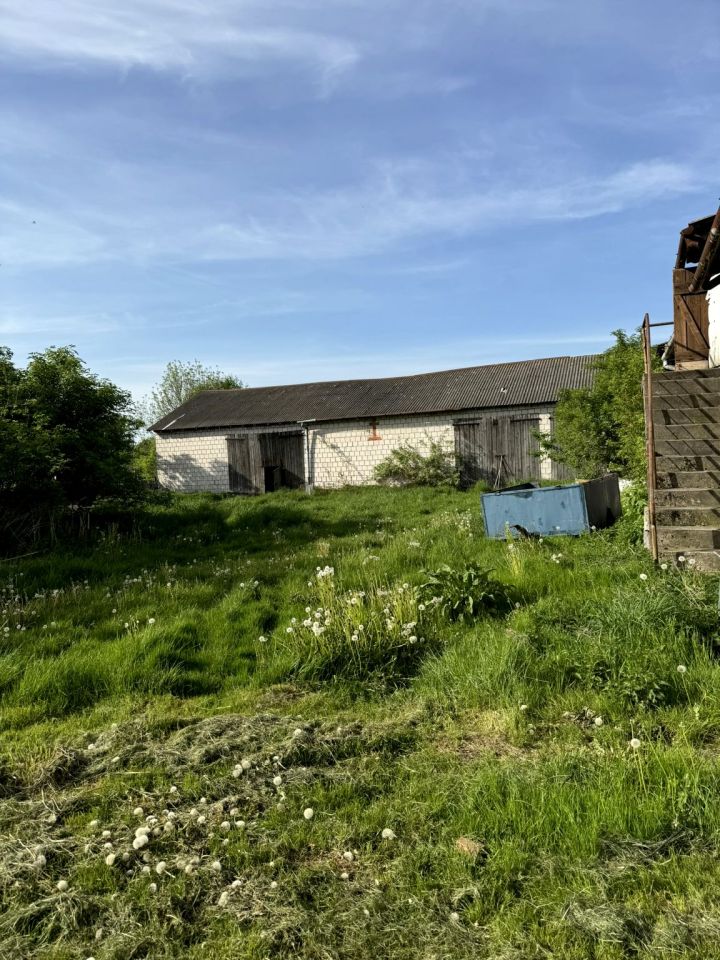 Działka siedliskowa Aleksandria. Zdjęcie 5