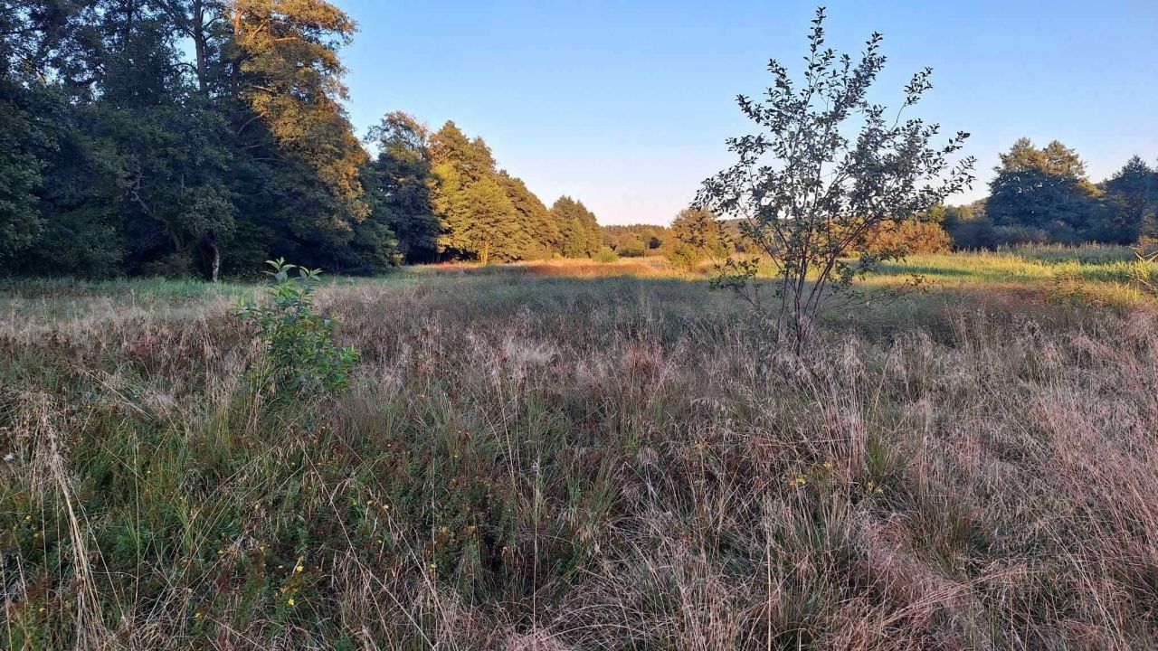 Działka rolno-budowlana Bondyrz. Zdjęcie 6
