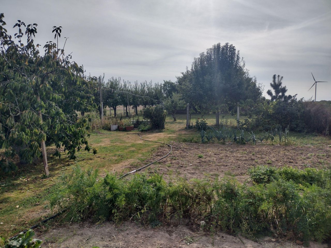 Mieszkanie 2-pokojowe Tywica. Zdjęcie 4