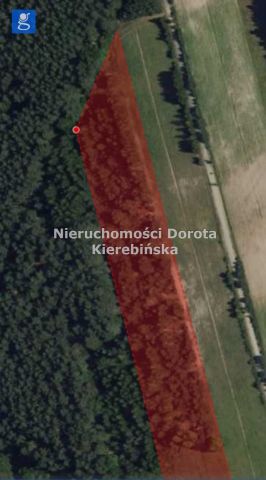 Działka Brzustów. Zdjęcie 15