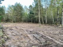 Działka leśna Chłapowo, ul. Władysławowska. Zdjęcie 2