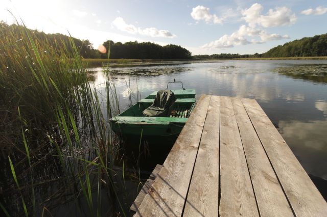 Działka rekreacyjna Potrzanowo, ul. Stare Potrzanowo. Zdjęcie 14