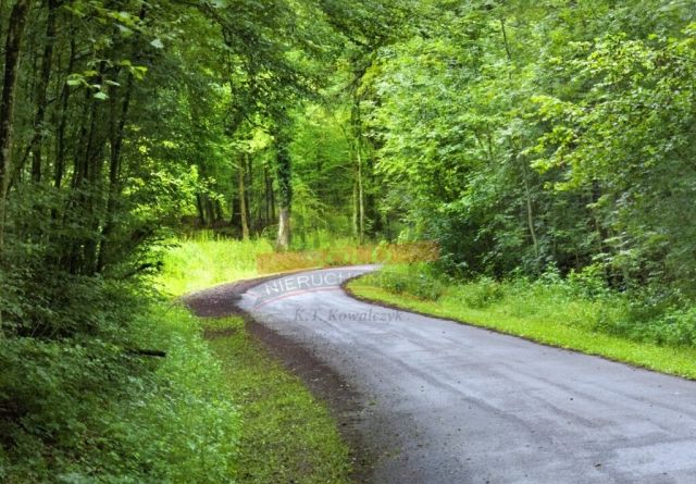 Działka budowlana Turawa. Zdjęcie 1