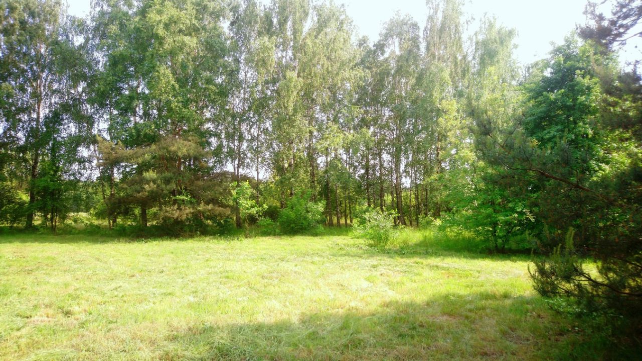 Działka budowlana Popielżyn-Zawady. Zdjęcie 11