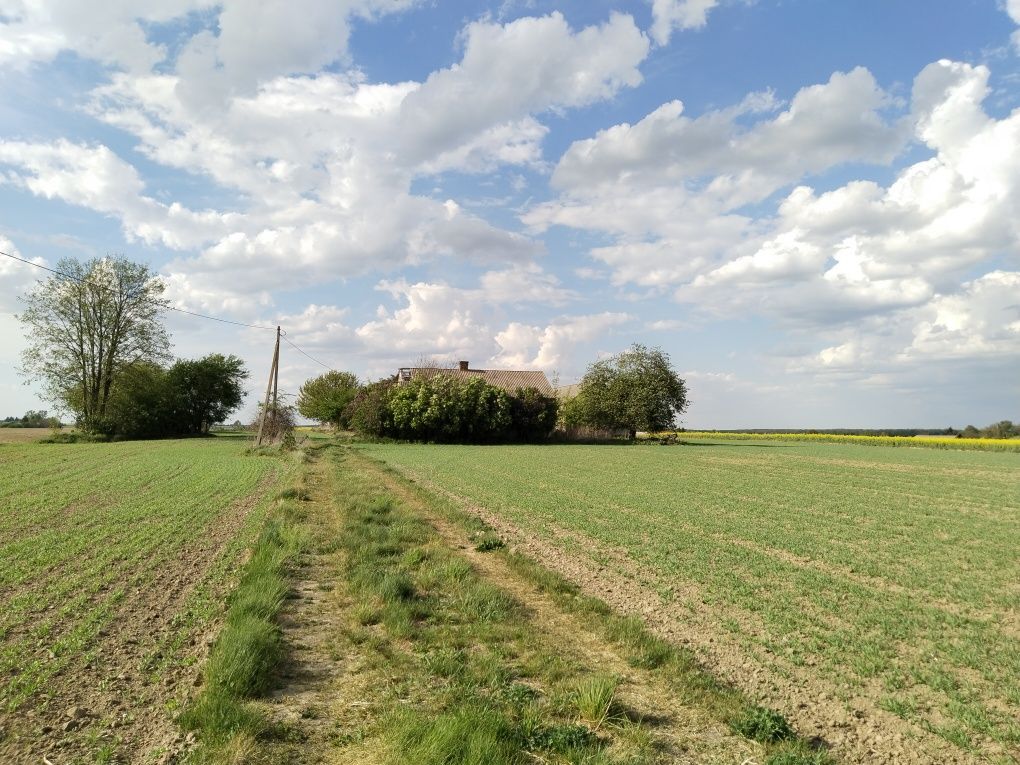 Działka rolna Janowice. Zdjęcie 2