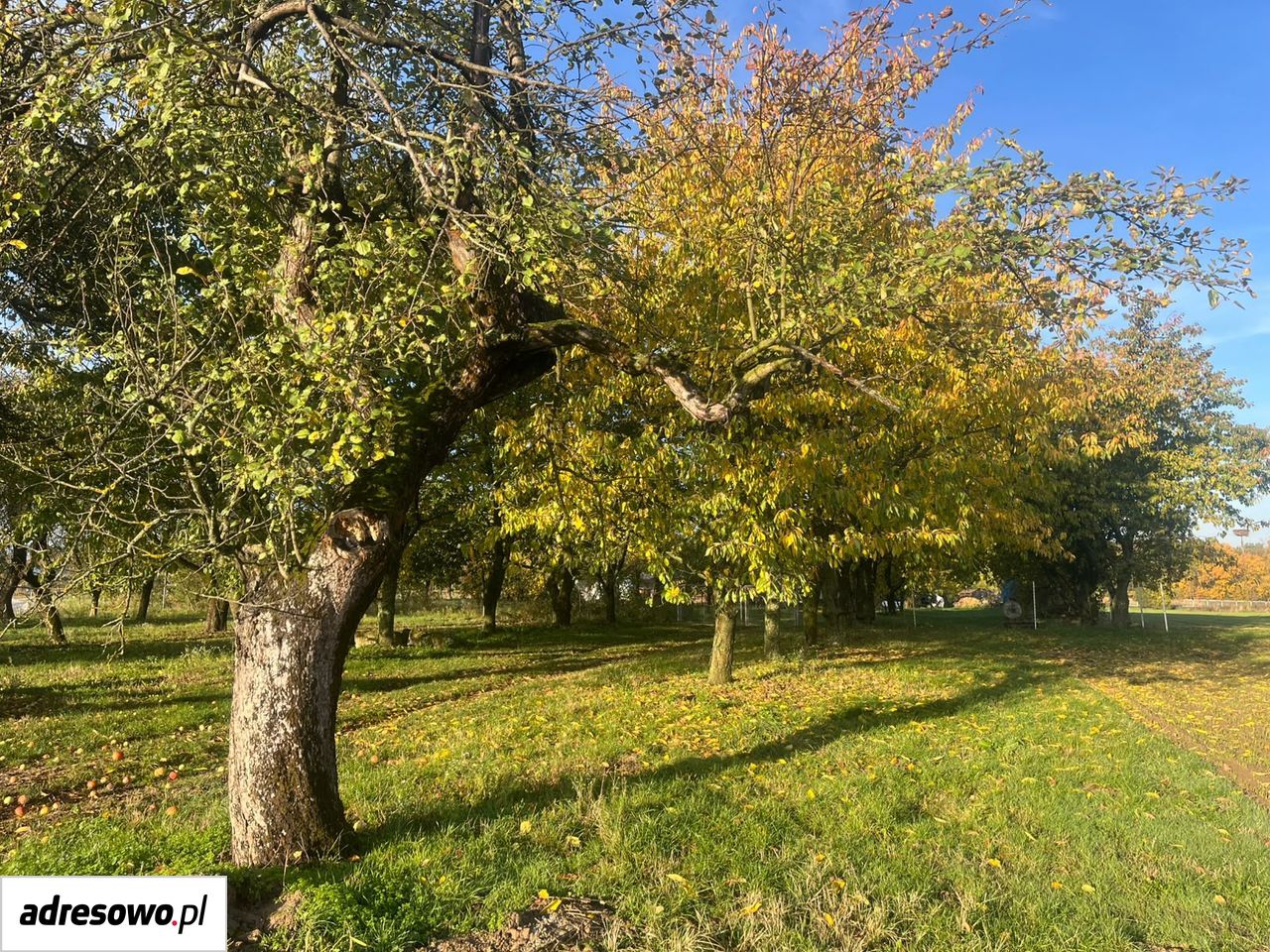 dom wolnostojący, 5 pokoi Futory. Zdjęcie 18