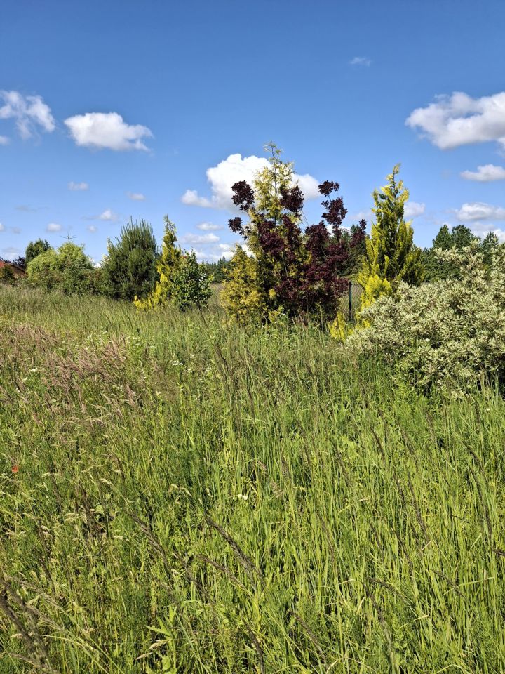 Działka budowlana Lednogóra, 25H. Zdjęcie 4