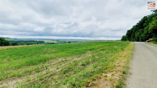 Działka rolna Grzegorzówka. Zdjęcie 6